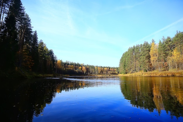 autumn taiga forest landscape, nature view fall in the mountains