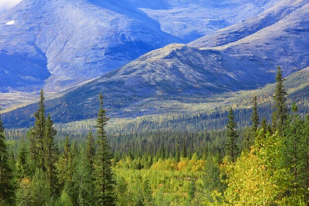 秋のタイガの森の風景、自然の景色が山に落ちる