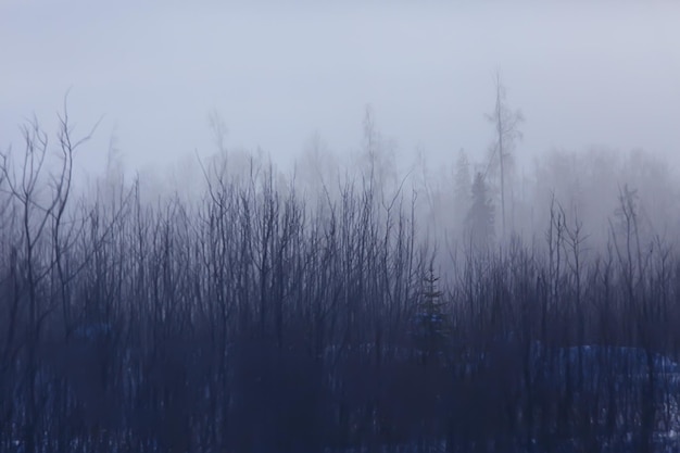 autumn taiga forest landscape, nature view fall in the mountains