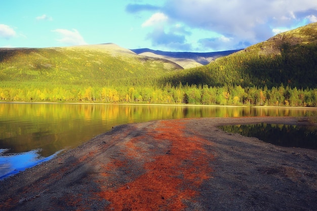 autumn taiga forest landscape, nature view fall in the mountains