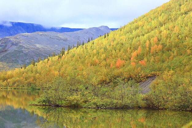 Autumn taiga forest landscape, nature view fall in the mountains