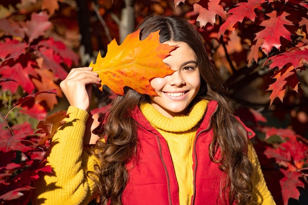 季節の美しい紅葉に立っている秋の 10 代の子供の肖像画笑顔の子供