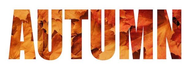 Photo autumn text isolated