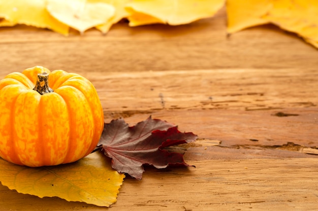 Autumn Thanksgiving Background met Oranje Pompoenen en Gevallen Bladeren op Houten Lijst