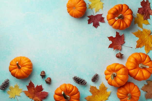 Autumn Thanksgiving background Pumpkins and maple leaves on turquoise table top view