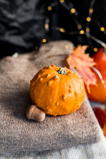 Foto composizione di ringraziamento autunnale sfondo con copia spazio. zucca e cardigan in maglia.