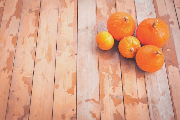 Autumn and thanksgiving with pupkins on shabby rustic floor