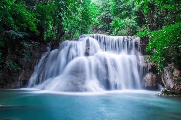 Autunno livelli legno selvaggio tailandia