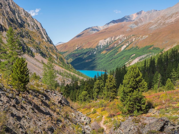 Autumn trail down the slope through the hollow to the distant turquoise forest lake Amazing alpine lake and large sunlit cedar forest mountains