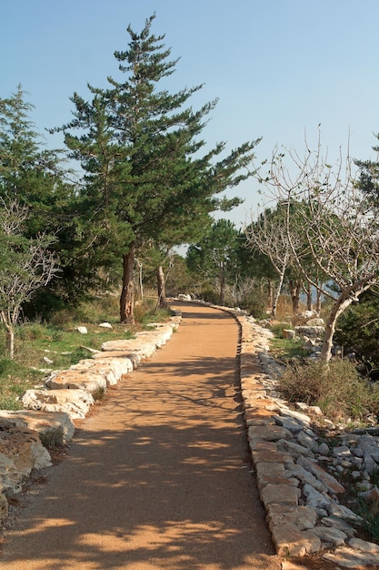 Autumn trail stretches into the distance in Israel