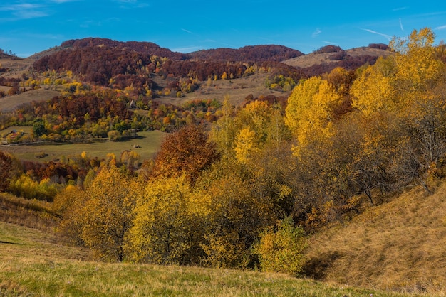 Autumn in transylvania