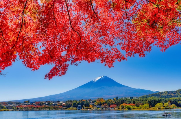 写真 空に照らされた湖のそばの秋の木