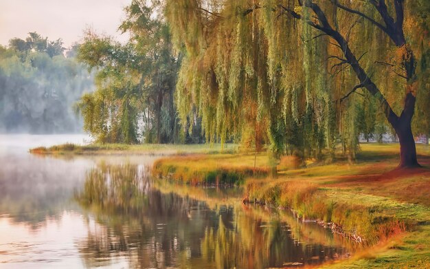 Осеннее дерево у пруда Мистический утренний осенний пейзаж с туманом над озером