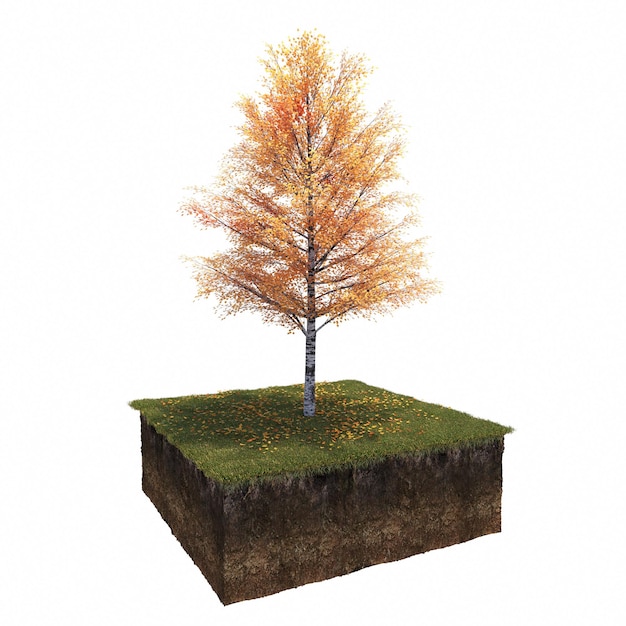 autumn tree isolated on white background, 3D illustration, cg render