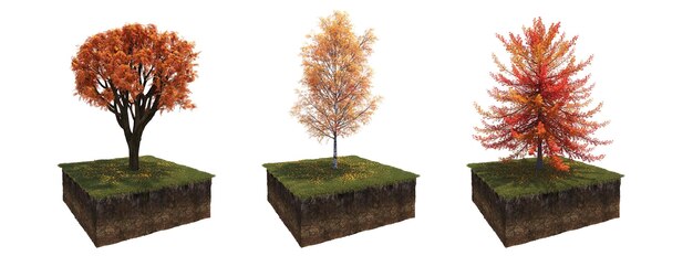 autumn tree isolated on white background, 3D illustration, cg render