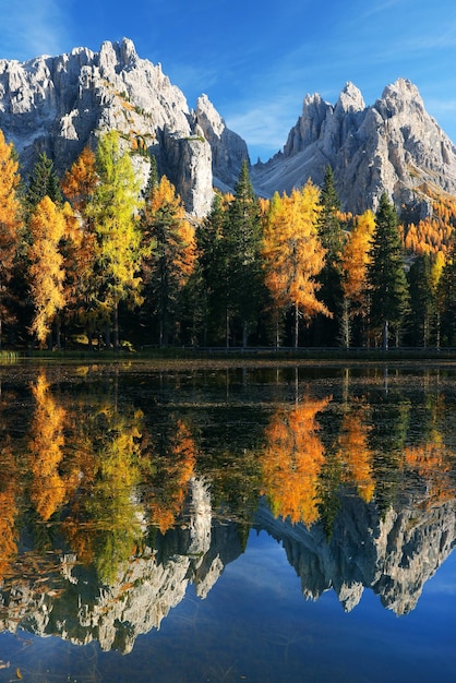 Photo autumn trees by lake against sky