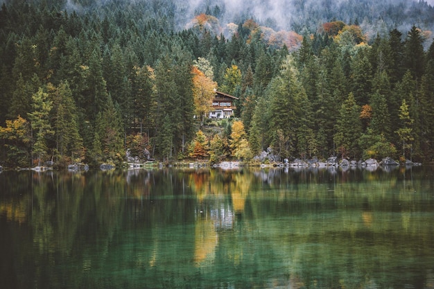 湖の秋の木
