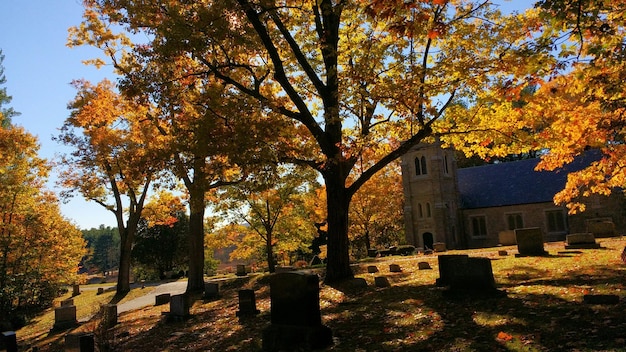 Photo autumn trees at cemetery by church