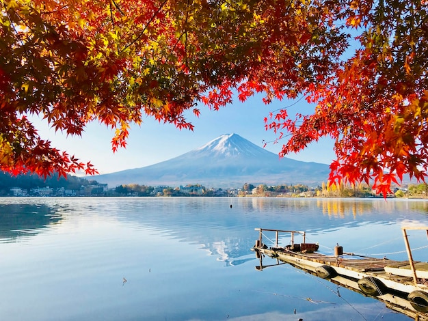 Autumn trees over lake against snowcapped volcano