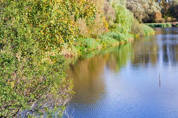 Autumn trees under lake