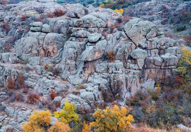 Autumn trees and large stone boulders around