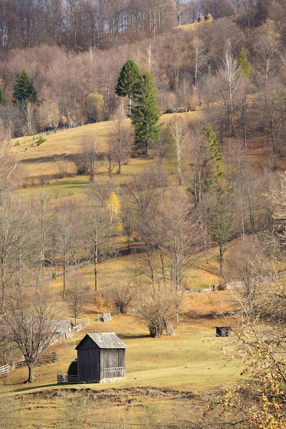 Autumn trees on a mountain hill and wooden hut