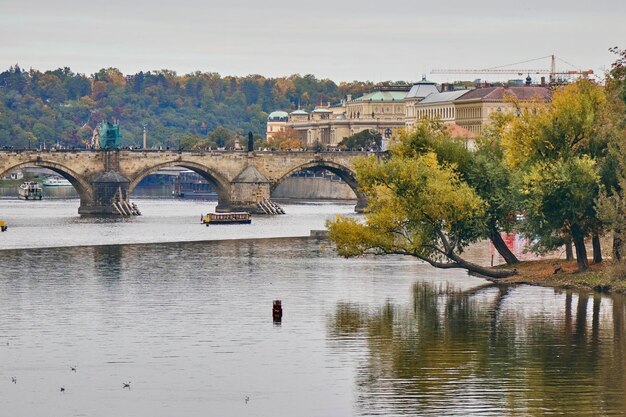 Autumn trees next to the Vltava Prague Czech