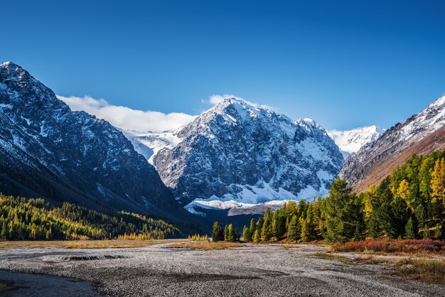 Autumn Valley of the Aktru River, at the foot of the glaciers of the North Chuysky Range. Kosh-Agachsky District, Altai Republic, Russia