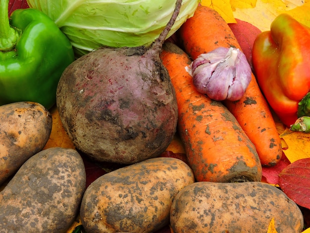 Autumn vegetables on autumn leaves 