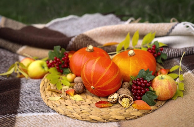 autumn vegetables on a blanket top view