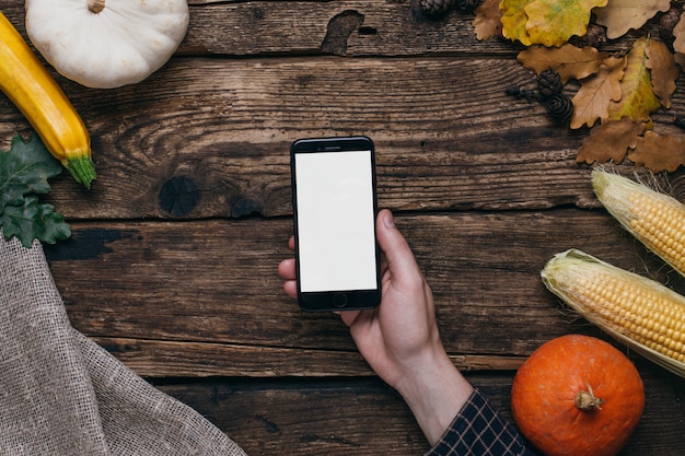 Autumn vegetables: mobile phone with white empty screen in men s hand, pumpkins and corn on wood