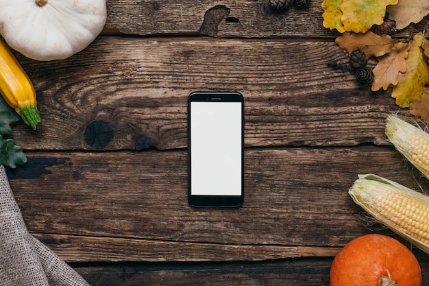 Autumn vegetables: mobile phone with white empty screen, pumpkins and corn with yellow leaves on wood