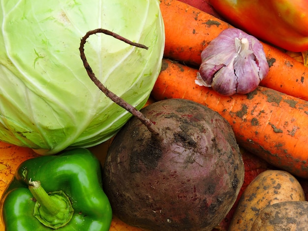 写真 秋の紅葉の秋野菜