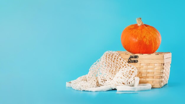 Autumn vegetablesminimalist stylecomposition of different varieties of pumpkinsvarious of pumpkins i