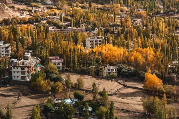 Autumn view di paesaggio nel distretto di leh ladakh, parte settentrionale dell'india