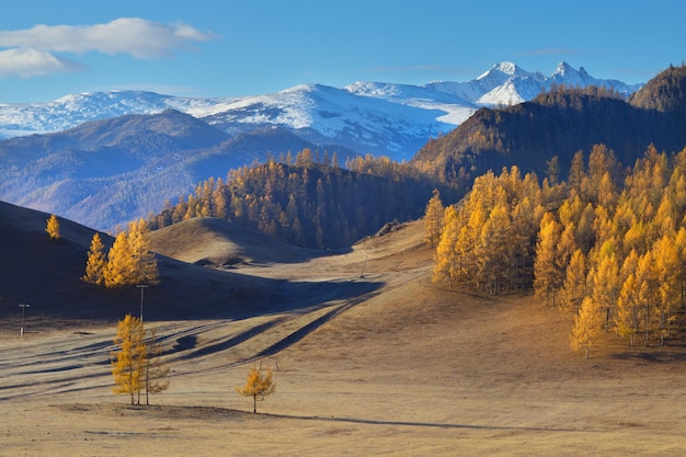 Осенний вид на горную долину Алтая бабье лето
