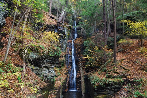 Autumn Waterfall in mountain