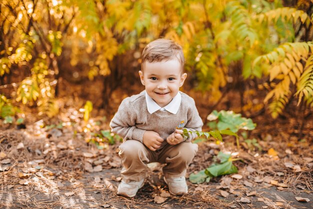 Autumn weather. Happy boy walking in the Park