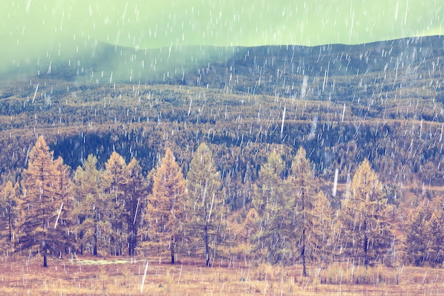 秋の天気雨の風景、雨季の抽象的な 10 月