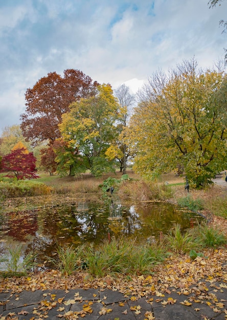 autumn in westfalen park north rhine dortmund germany