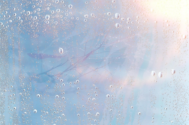 autumn wet glass background / autumn branches outside the window, rain, wet weather, concept seasonal background