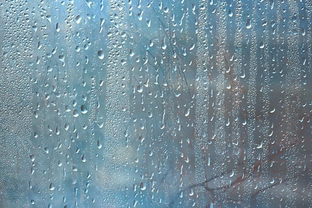 осенний мокрый стеклянный фон / осенние ветки за окном, дождь, сырая погода, концепция сезонного фона