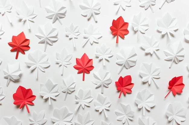 Autumn white pattern with handmade white and red maple leaves on white background.