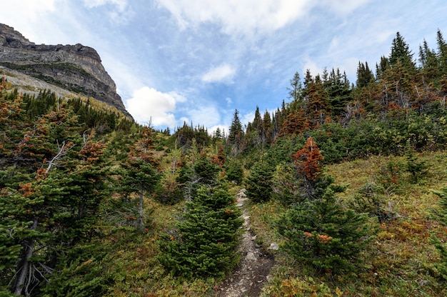 Autumn wilderness with blue sky in valley