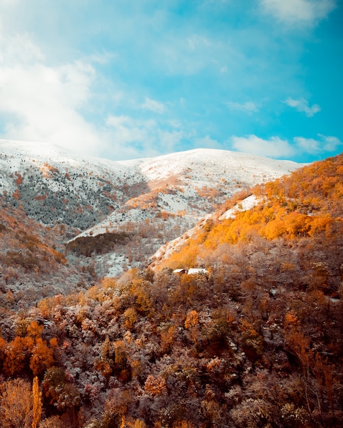 autumn and winter transition landscape