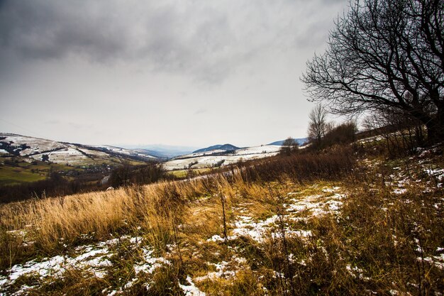 Photo autumn and winter