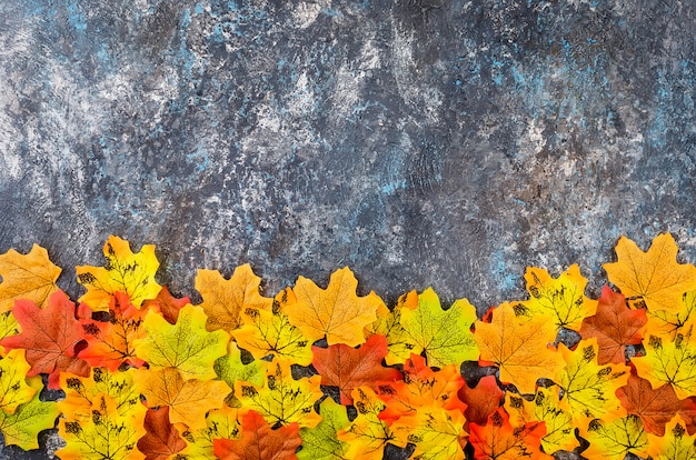 Осень с цветными яркими листьями