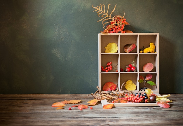 Autumn with leaves and berries