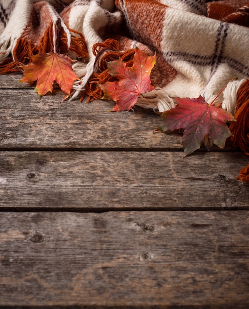Autumn  with plaid and leaves