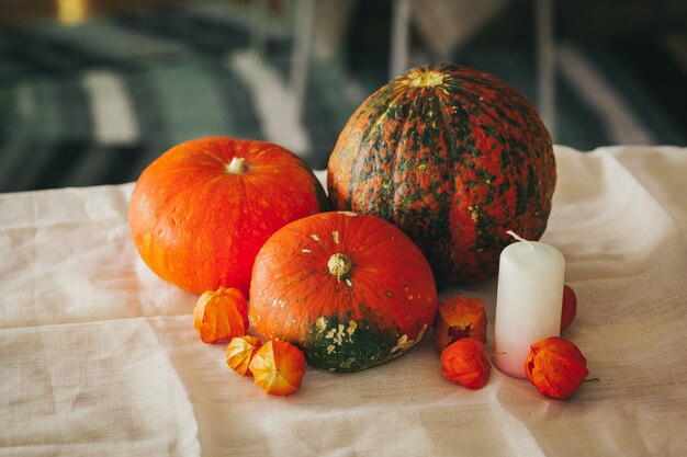 Autumn  with pumpkin close up on table